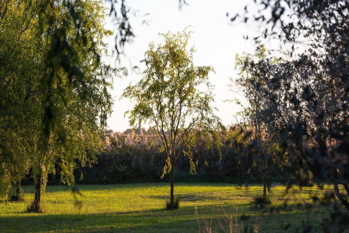 Mas Provencal De 120M2 En Camargue, Avec Piscine Et Parking Inclus, Ideal Pour Des Vacances 阿爾勒 外观 照片
