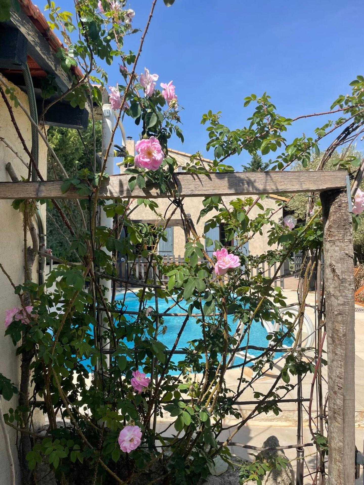 Mas Provencal De 120M2 En Camargue, Avec Piscine Et Parking Inclus, Ideal Pour Des Vacances 阿爾勒 外观 照片