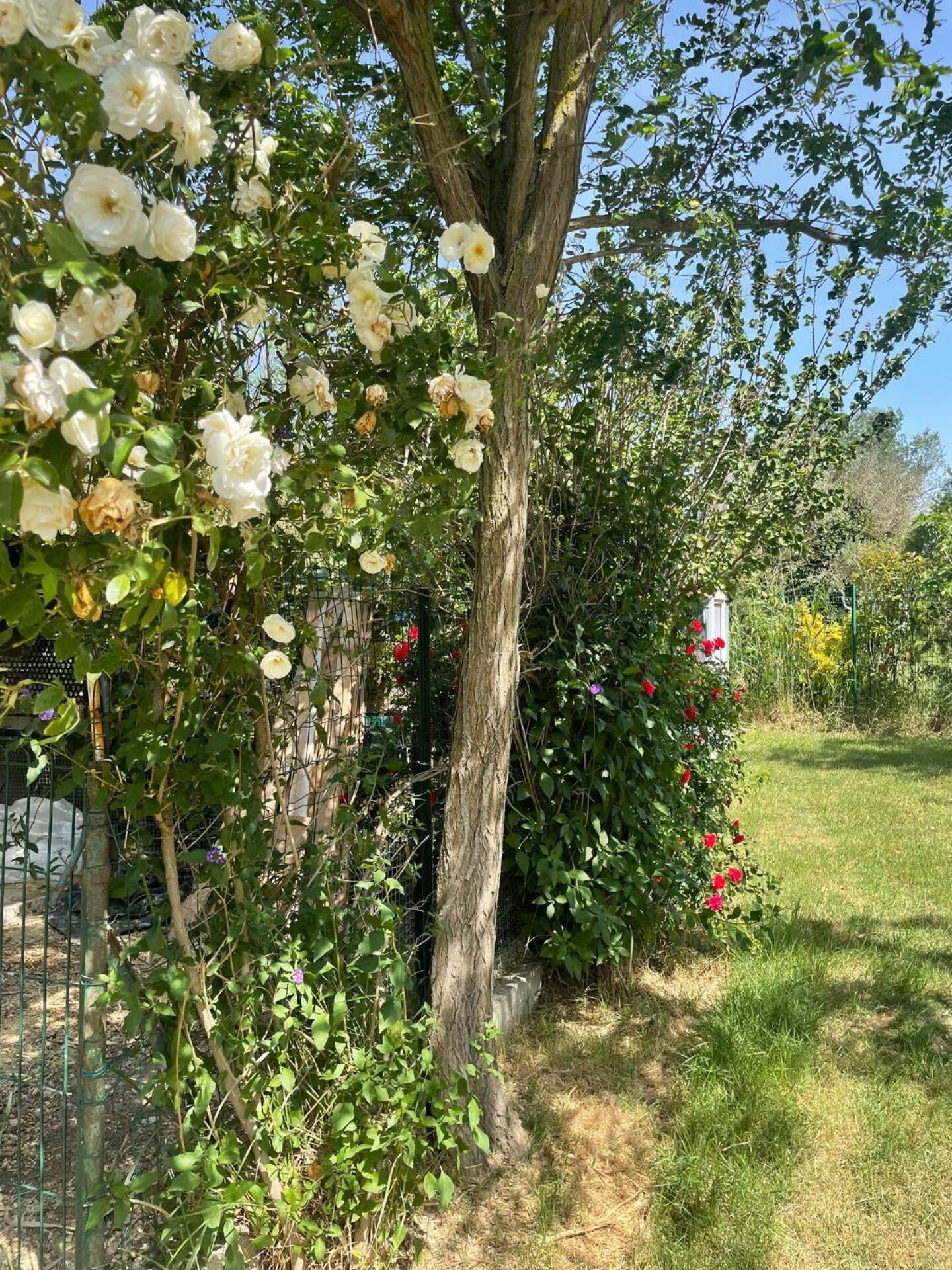 Mas Provencal De 120M2 En Camargue, Avec Piscine Et Parking Inclus, Ideal Pour Des Vacances 阿爾勒 外观 照片
